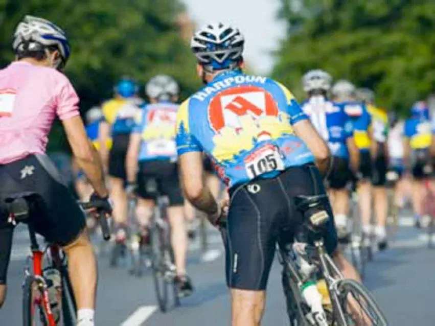 2008 B2B course profile