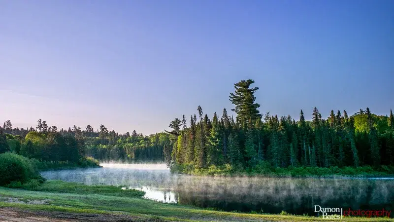 Betty — battered but upright