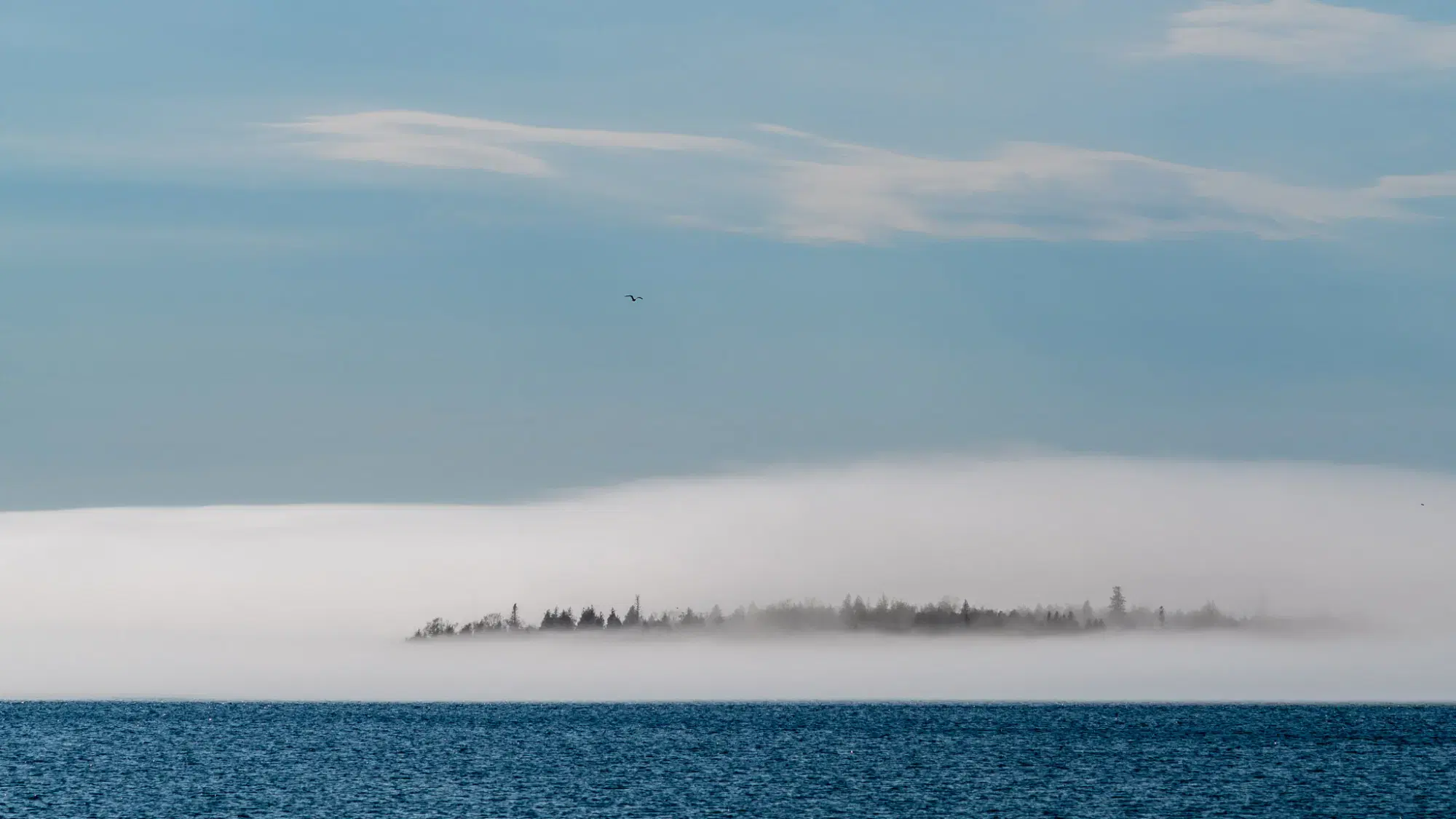 The Forest City wreck, Lake Huron