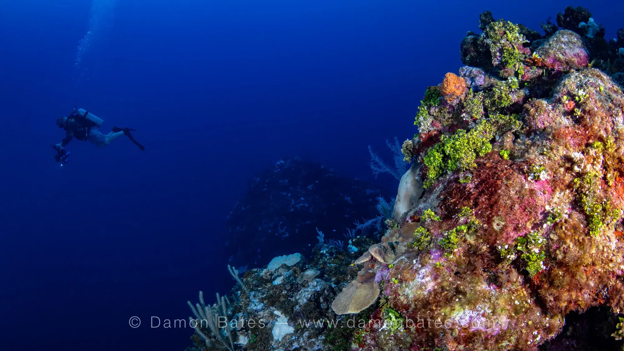 Scuba diver alongside a colorful reef wall covered in sponges and coral, Ocean Frontiers, Grand Cayman — underwater photograph by Damon Bates