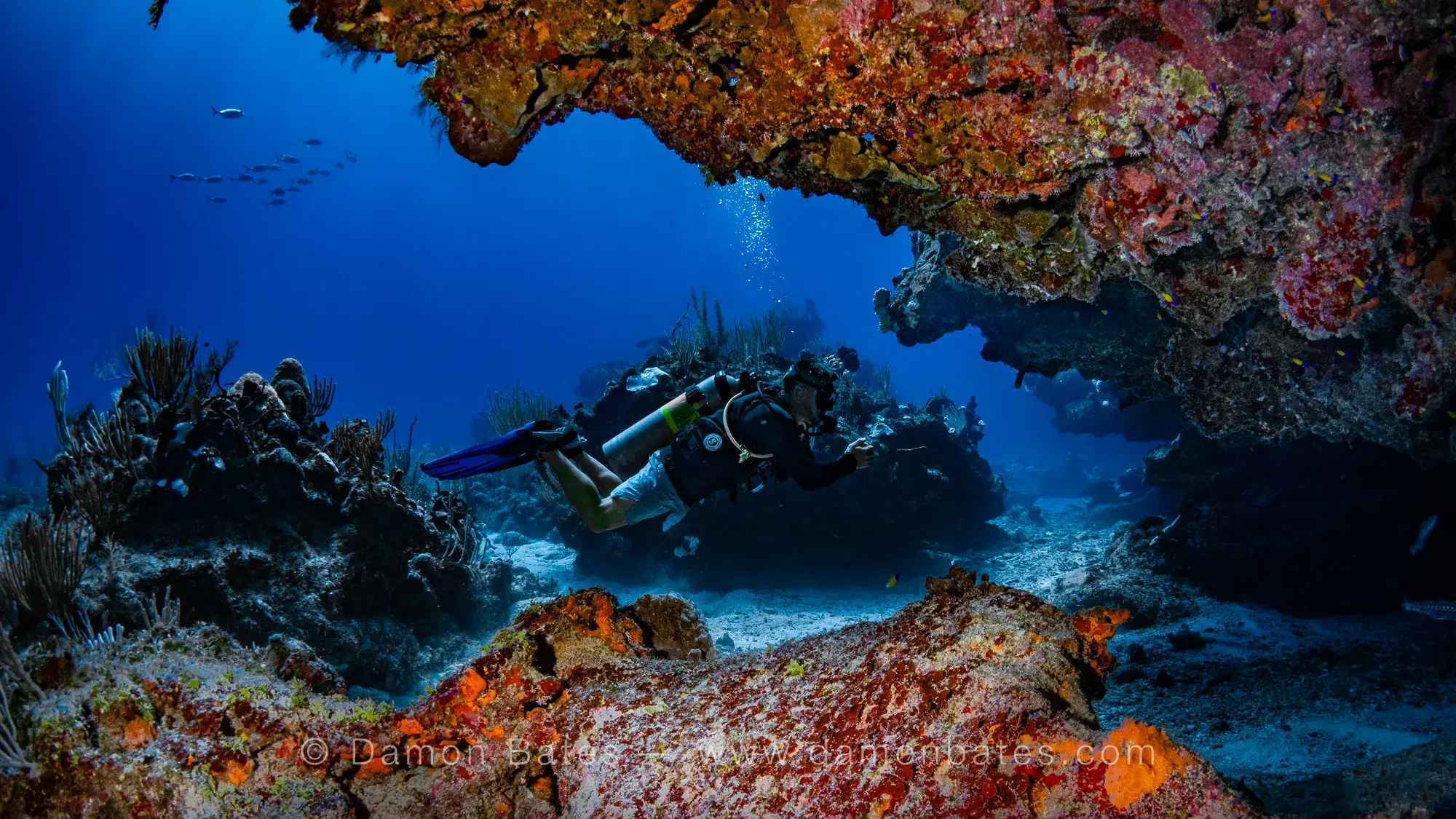 Scuba diver framed in a coral arch on the reef, Ocean Frontiers, Grand Cayman — underwater photograph by Damon Bates