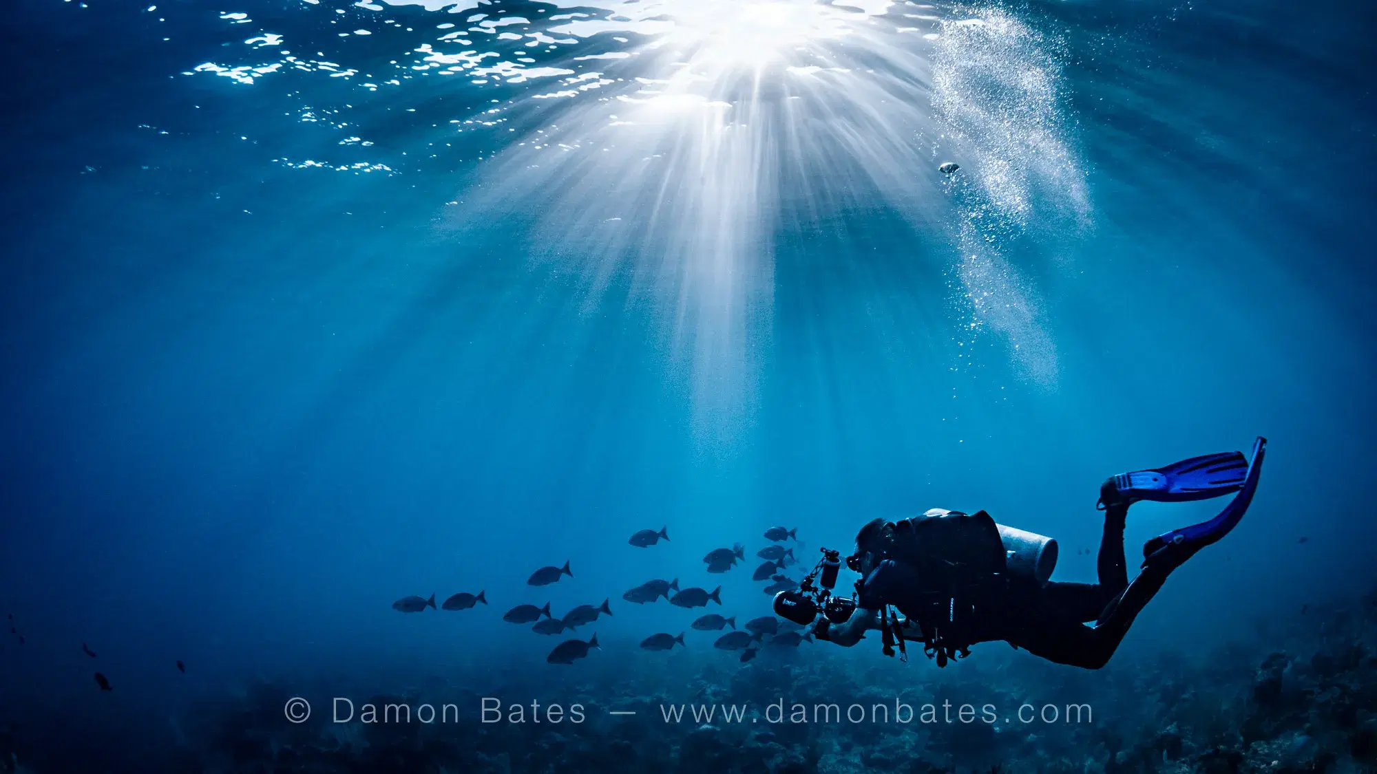 Scuba diver with camera amid sunbeams and a school of fish, Ocean Frontiers, Grand Cayman — underwater photograph by Damon Bates