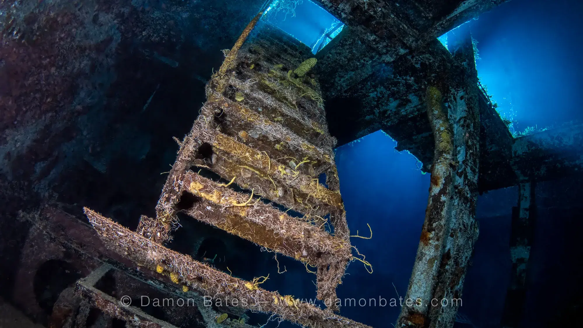 Shipwreck underwater photograph 11 by Damon Bates