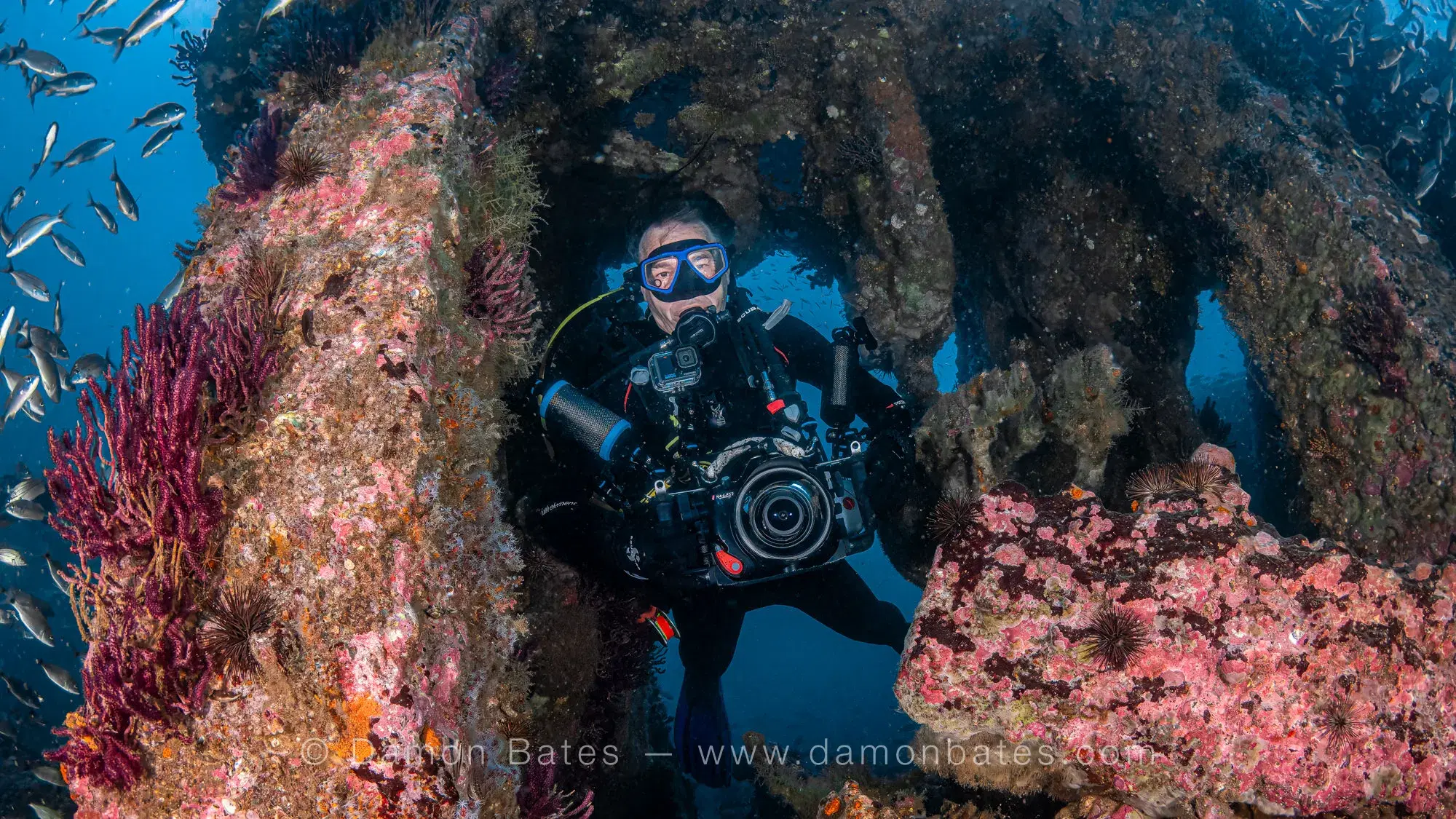Shipwreck underwater photograph 15 by Damon Bates