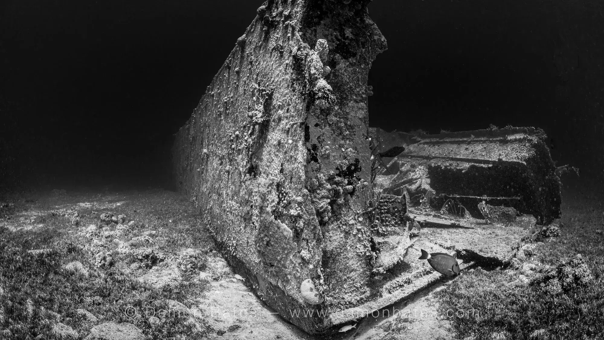 Coral-encrusted hull of sunken Navy barges on the seafloor, St. Thomas, USVI, 2021 — black and white — underwater photograph by Damon Bates