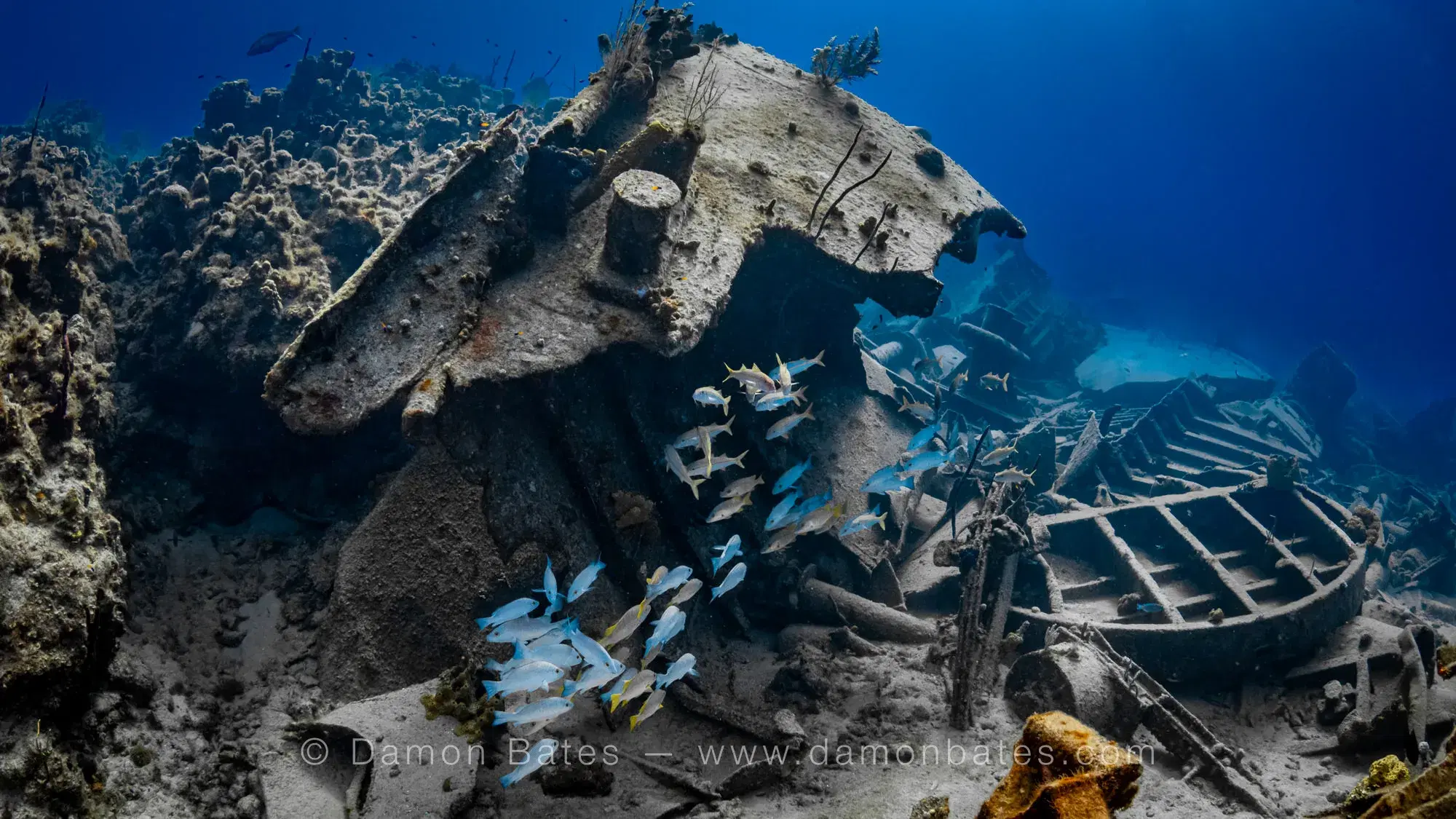 School of fish swimming through the coral-encrusted debris of the Oro Verde shipwreck, Seven Mile Beach, Grand Cayman, 2023 — underwater photograph by Damon Bates