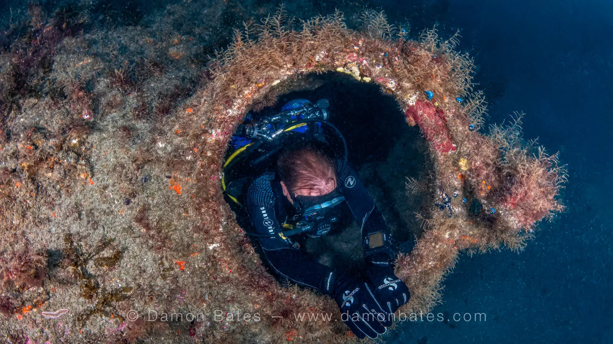 Scuba diver emerging through a coral-encrusted hatch of the German U-352 submarine wreck, Morehead City, North Carolina — underwater photograph by Damon Bates