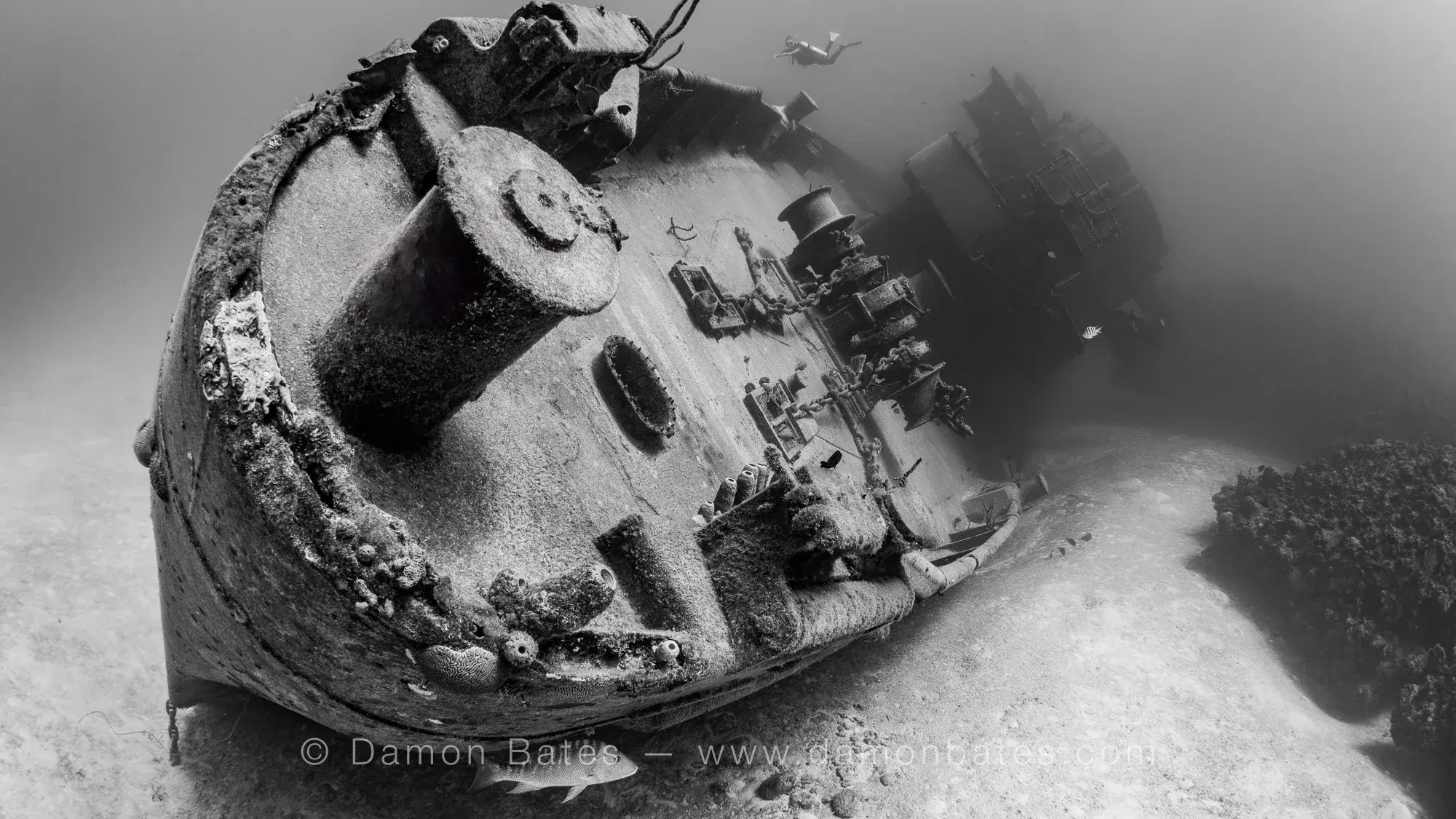 Diver above the starboard gunwale of the USS Kittiwake bow, Grand Cayman, 2025 — black and white — underwater photograph by Damon Bates