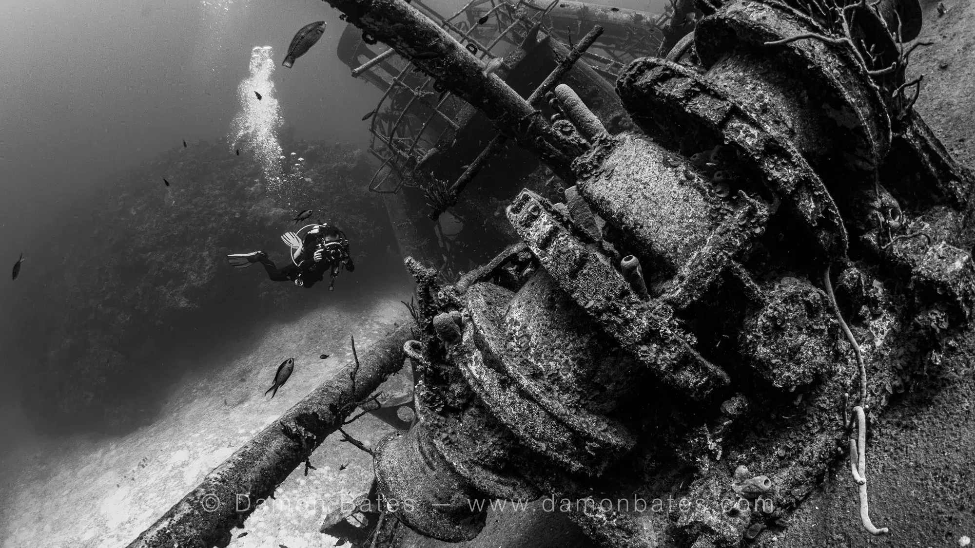 Scuba diver alongside the coral-encrusted windlass on the deck of the USS Kittiwake, Grand Cayman, 2025 — black and white — underwater photograph by Damon Bates